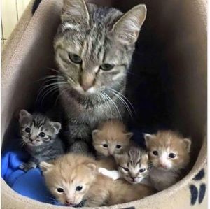 Meet your Posher, Zabeth